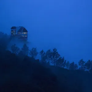 Fragrant Nature - A Five Star Classified Hotel Munnar